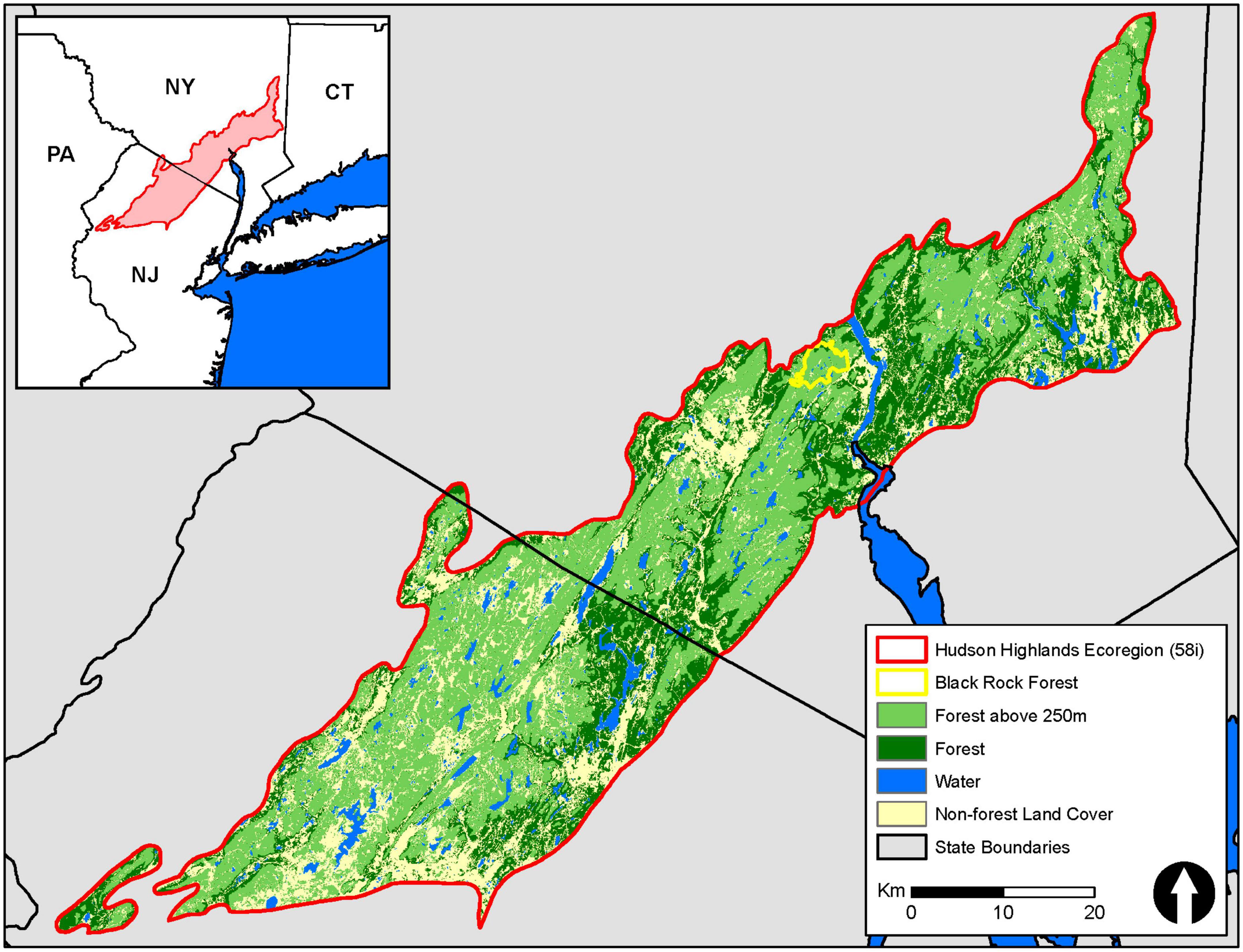 Compensatory responses of leaf physiology reduce effects of spring frost defoliation on temperate forest tree carbon uptake